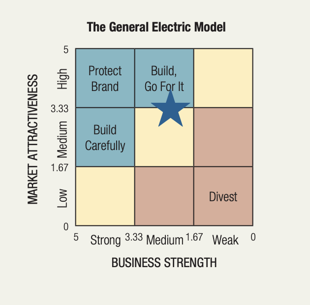 General Electric Strategy Diagram