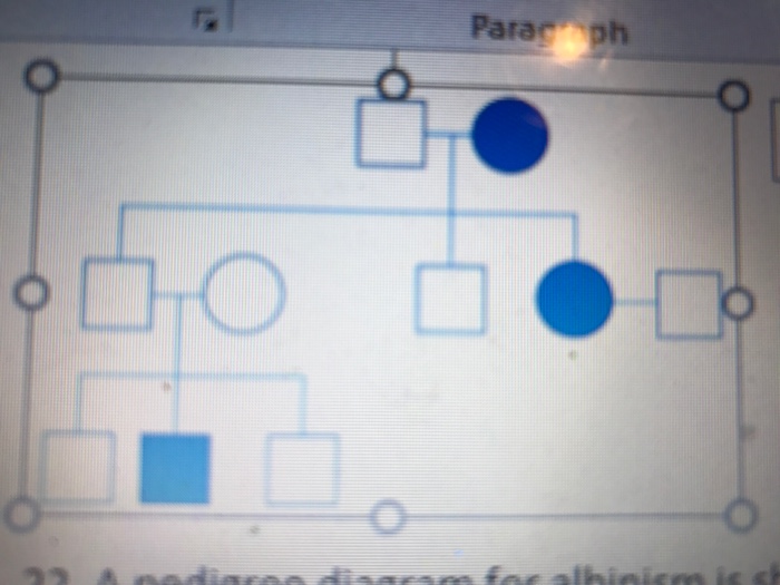 22 A Pedigree Diagram For Albinism Is Shown Above Chegg