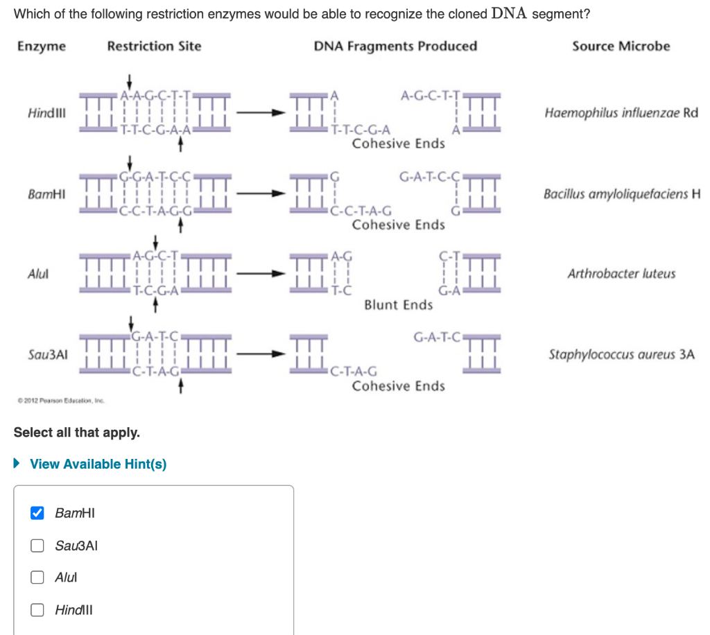 Solved Which of the following restriction enzymes would be