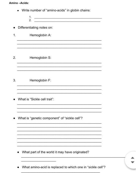 Solved AminoAcids Write number of "aminoacids" in globin