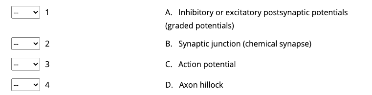 Solved Place the electrical impulse pathway in order from | Chegg.com