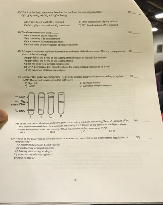 Solved 50) Which of the listed statements describes the | Chegg.com