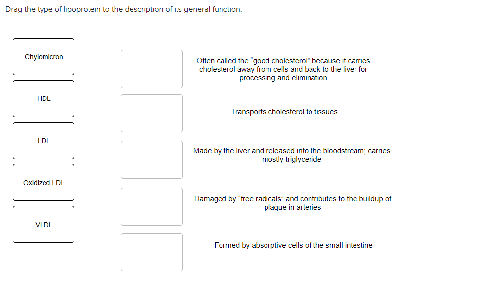Solved Drag the type of lipoprotein to the description of | Chegg.com