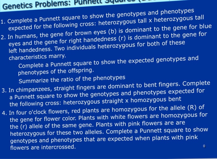 Solved Complete a Punnett square to show the genotypes and | Chegg.com