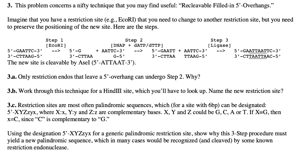 Solved I am having trouble with these questions if anyone | Chegg.com