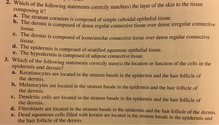 Which Of The Following Statements Is True About The Skin Solved the following statements correctly match(es) the | Chegg.com