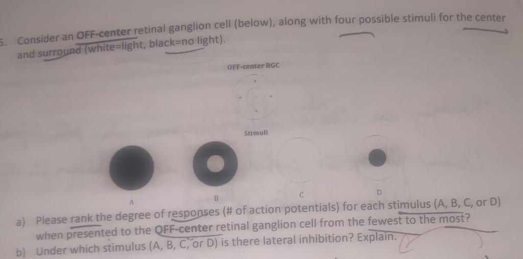 Solved Consider an OFF-center retinal ganglion cell (below), | Chegg.com