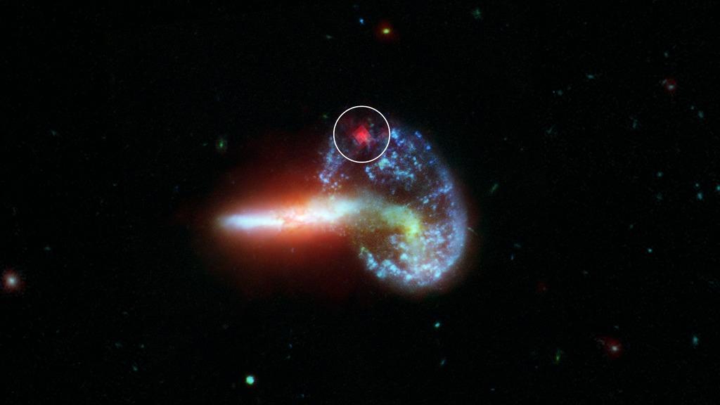 Solved How can I describe the Supernova in detailed | Chegg.com