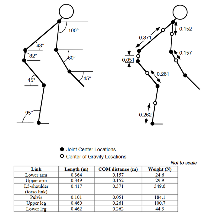 Solved Calculate the L5/S1 disc compression and shear | Chegg.com