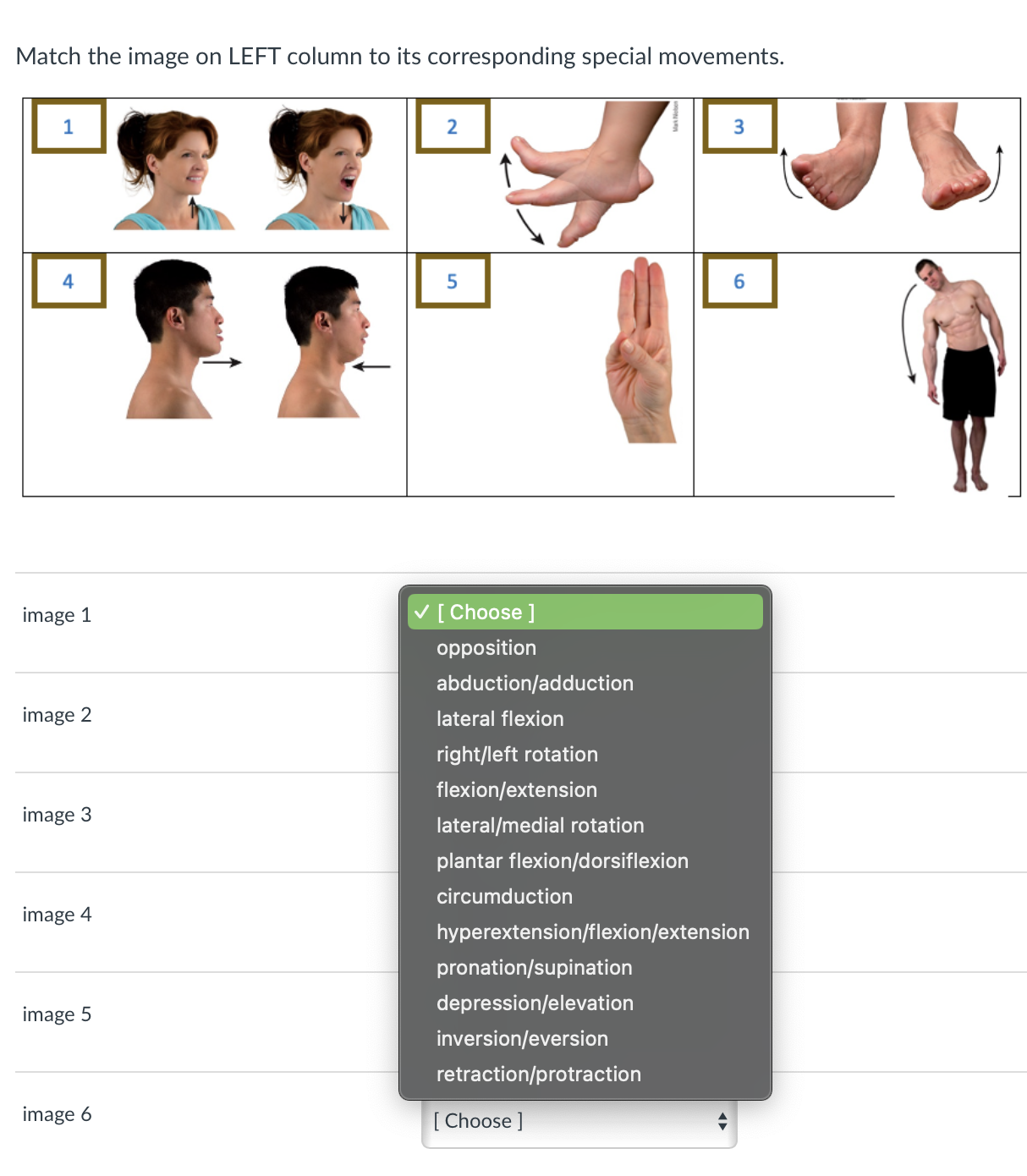 Solved Match the image on LEFT column to its corresponding | Chegg.com