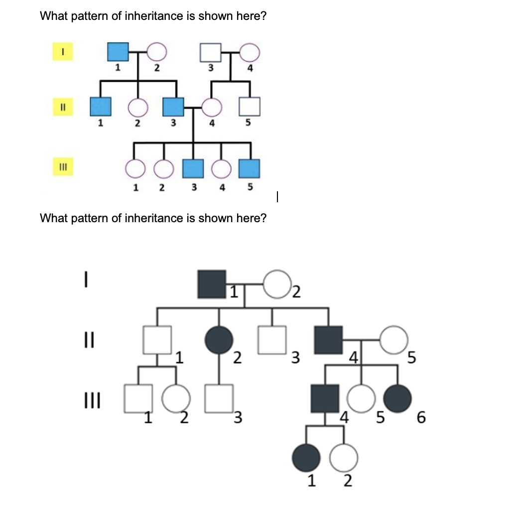 inheritance follows which approach to problem solving