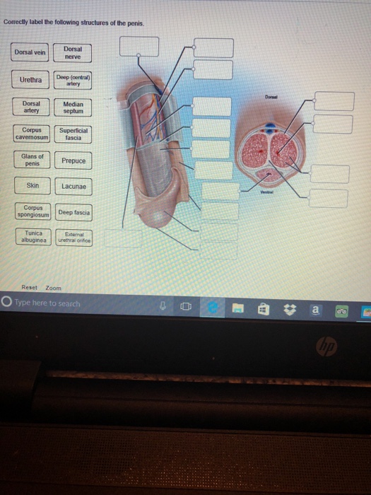 Information Systems In Health Care Health Care Service