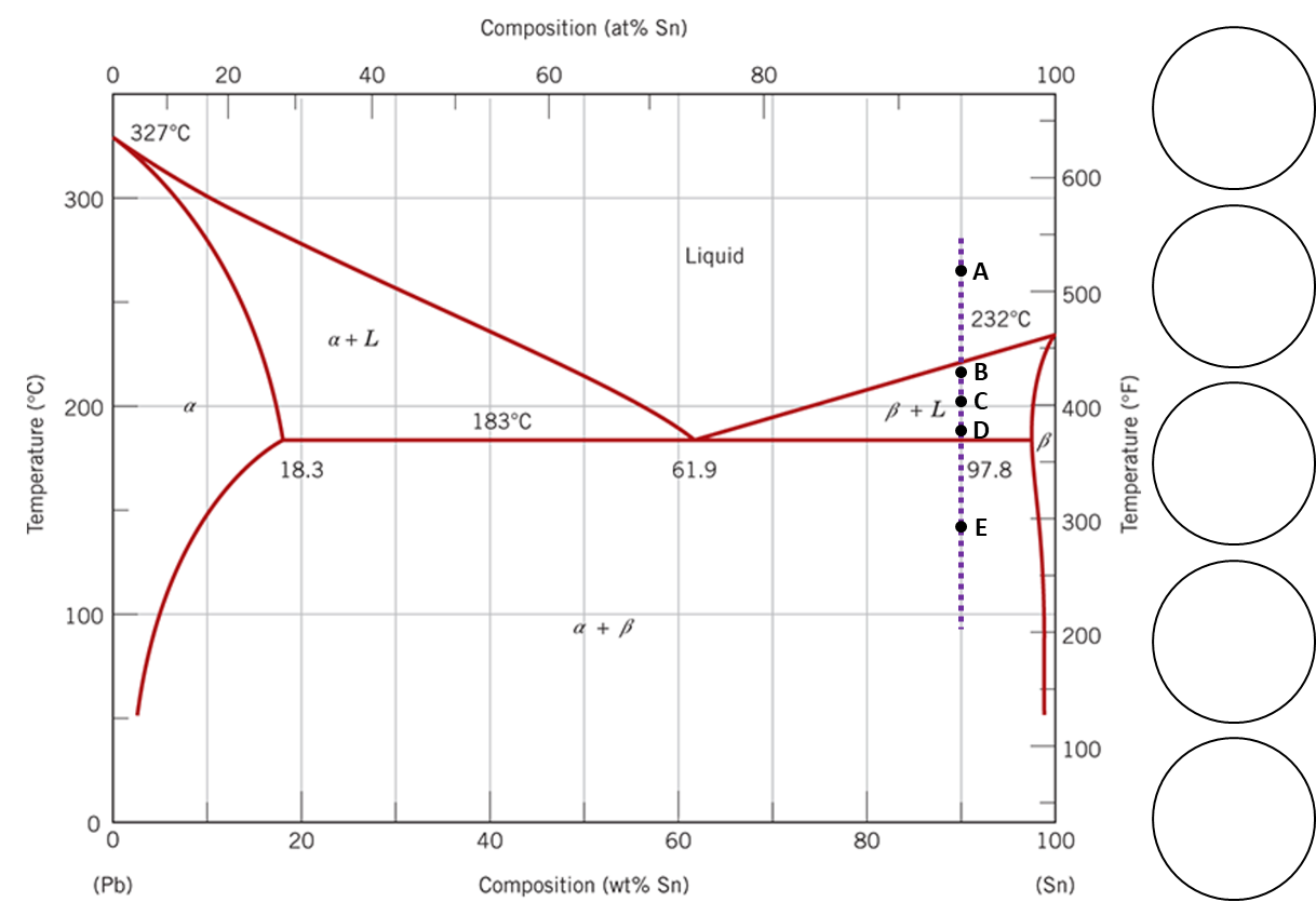 Solved In the binary phase diagram for the Pb-Sn system | Chegg.com