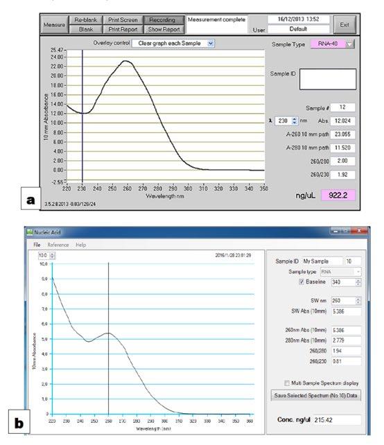 b
10mm Absorbance
Recording
Show Report
Clear graph each Semple
-2.55
220 230 240 250 260 270 280 290 300 310 320 330 340 350