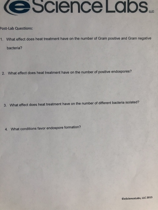eScience Labs LLC PostLab Questions What effect does