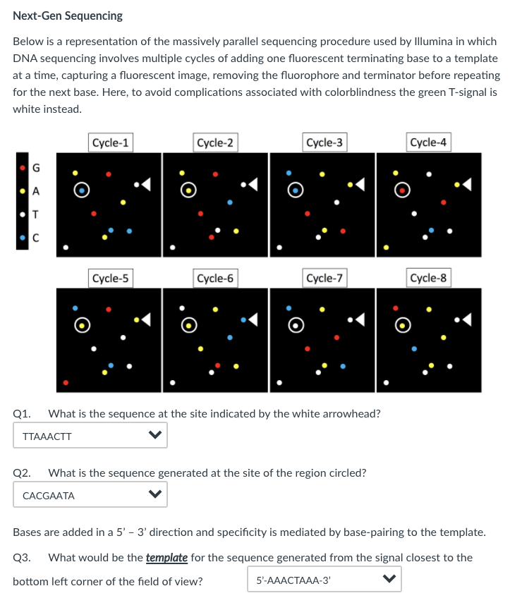 Next-Gen Sequencing Below is a representation of the | Chegg.com image.