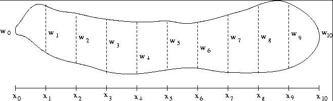 Solved (1 point) The width wn, in feet, at various points In | Chegg.com