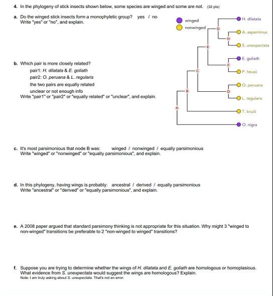 Solved 4. In the phylogeny of stick insects shown below, | Chegg.com