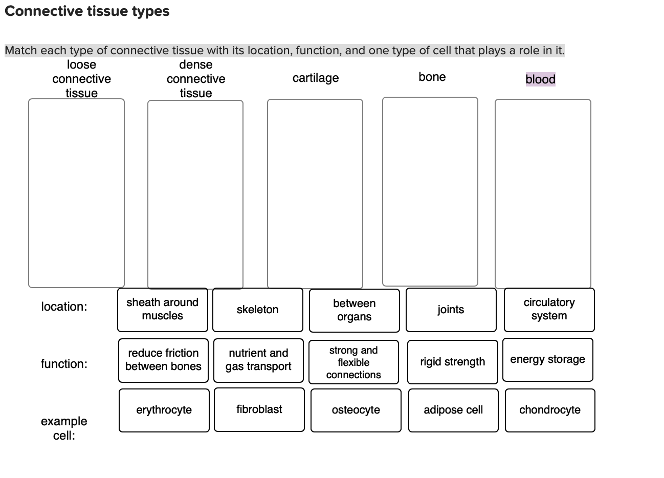 Solved Connective tissue types Match each type of connective