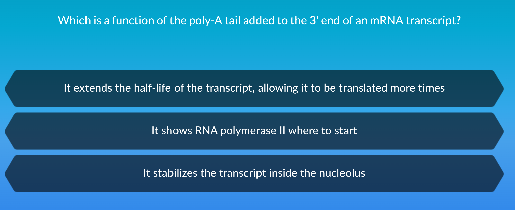 Solved Which is a function of the poly-A tail added to the | Chegg.com