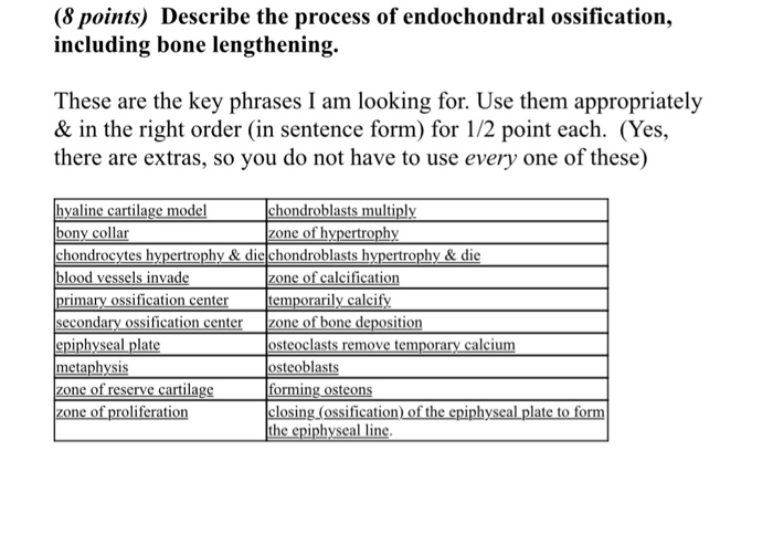 Solved (8 points) Describe the process of endochondral | Chegg.com