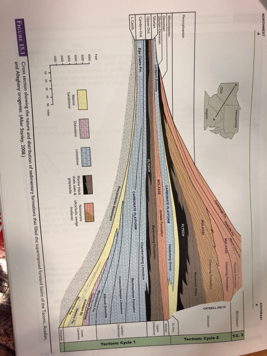 Solved Exercise 15 Paleozoic Orogenies of Ancestral North | Chegg.com