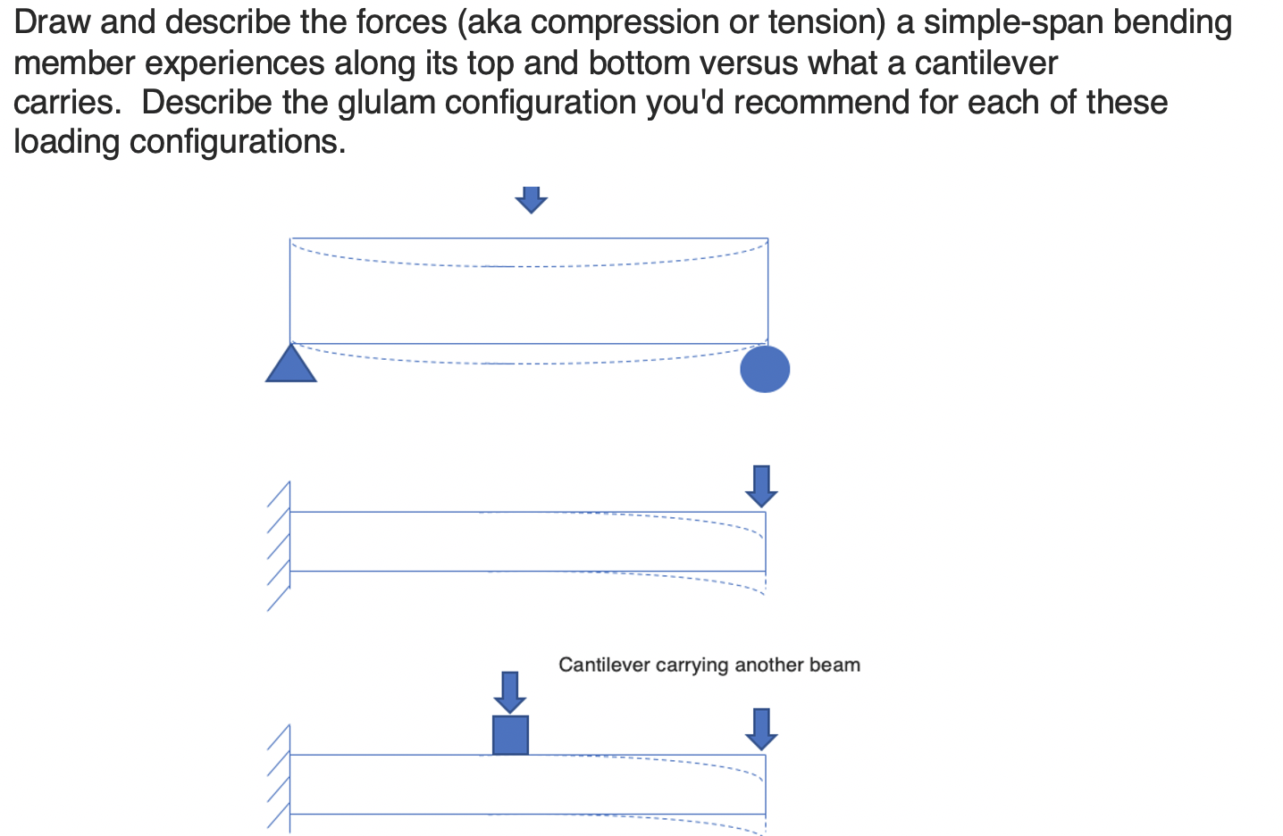 Solved Draw and describe the forces (aka compression or | Chegg.com