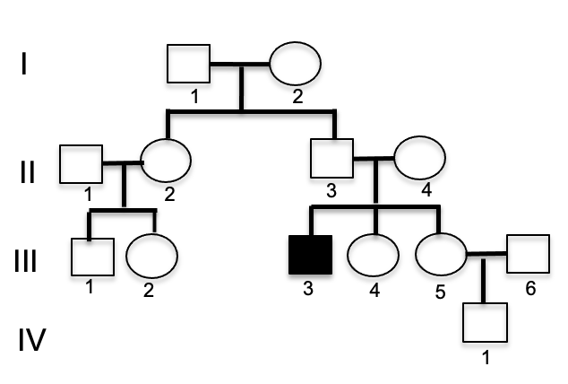 Consider the pedigree below for a rare, | Chegg.com