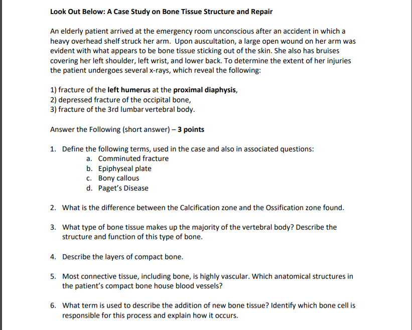 a case study on bone tissue structure and repair