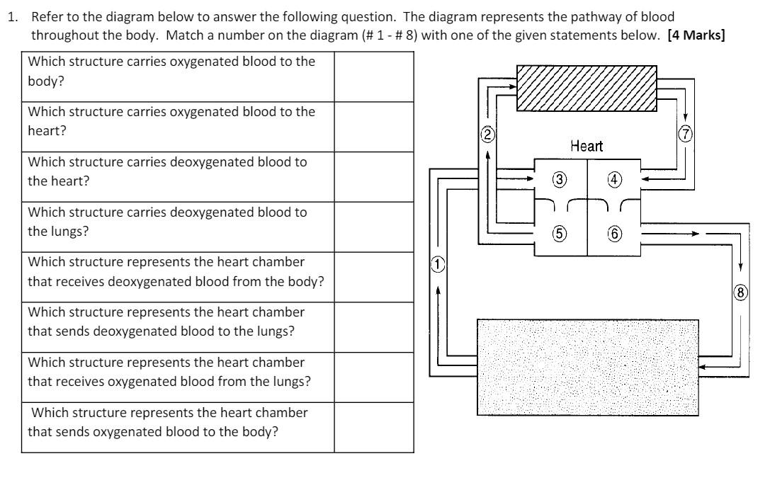 Solved 1. Refer to the diagram below to answer the following