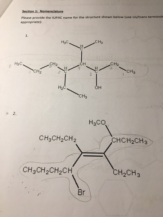 Solved What is the correct IUPAC names for these compounds? | Chegg.com