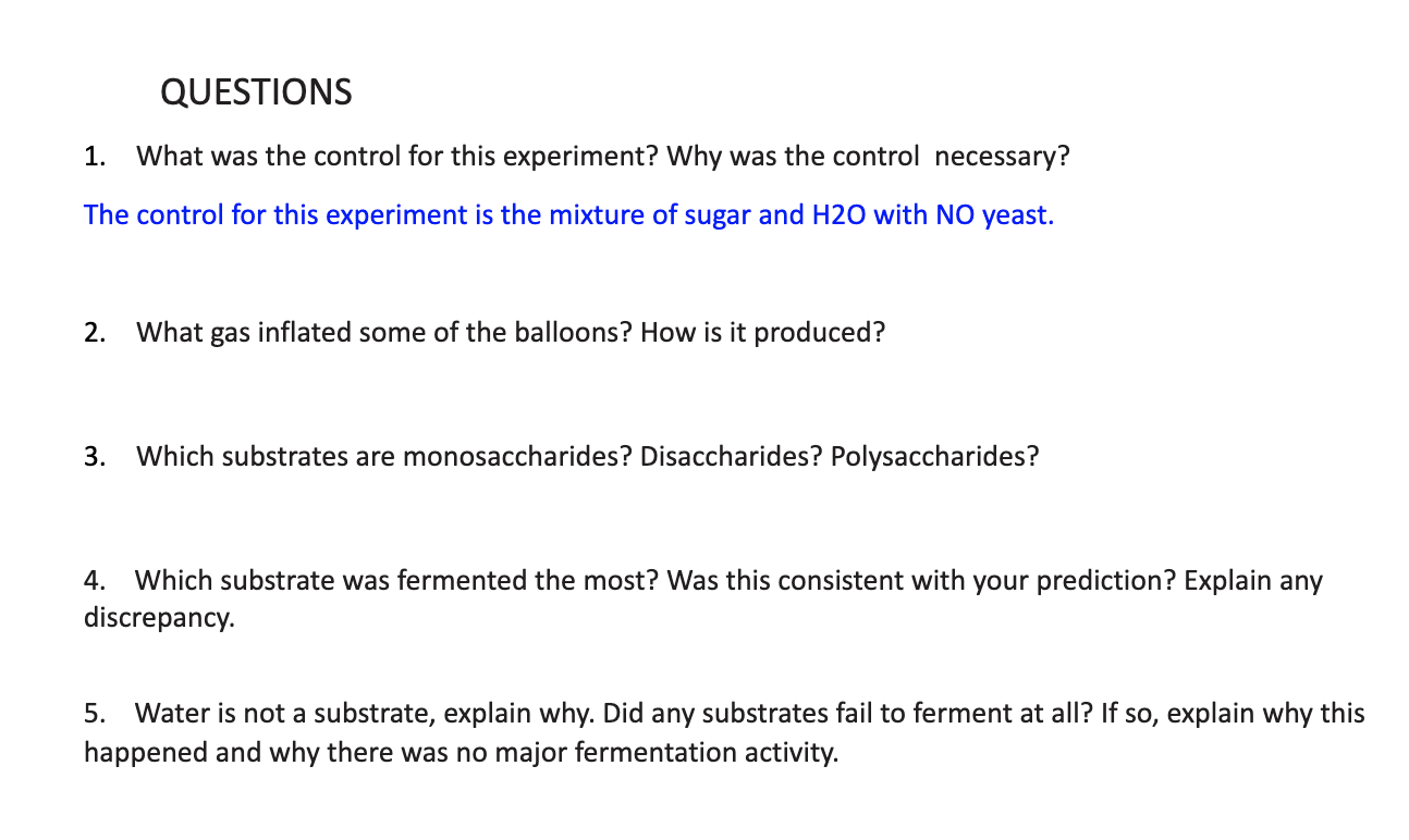 Solved ACTIVITY 2a YEAST FERMENTATION WITH DIFFERENT