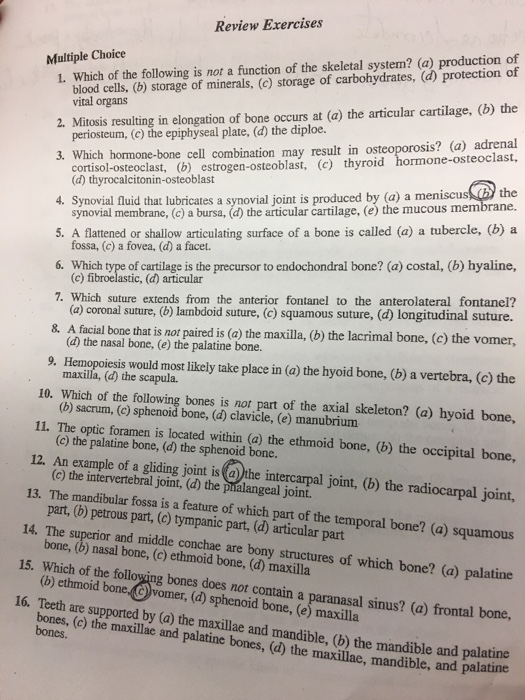 What Is Not A Function Of The Skeletal System? notchmoms