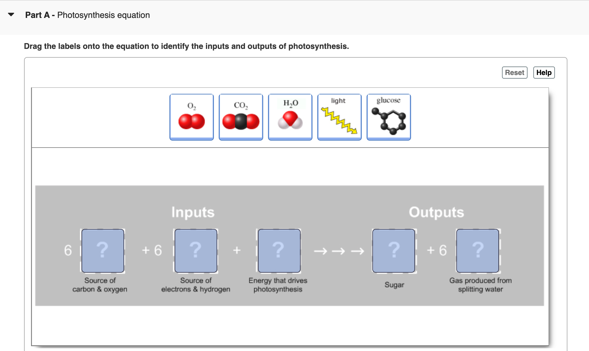 Solved Part A - Photosynthesis equationDrag the labels onto | Chegg.com