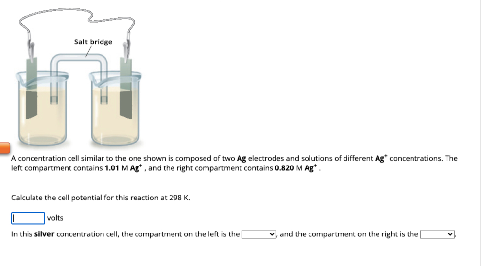 Solved A concentration cell similar to the one shown is | Chegg.com