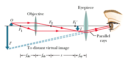 Solved In a microscope of the type shown in the figure, the | Chegg.com