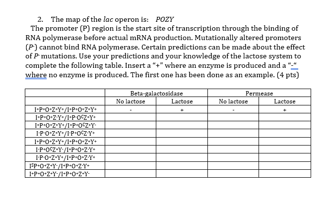 Solved 2 The Map Of The Lac Operon Is The Promoter P R Chegg Com