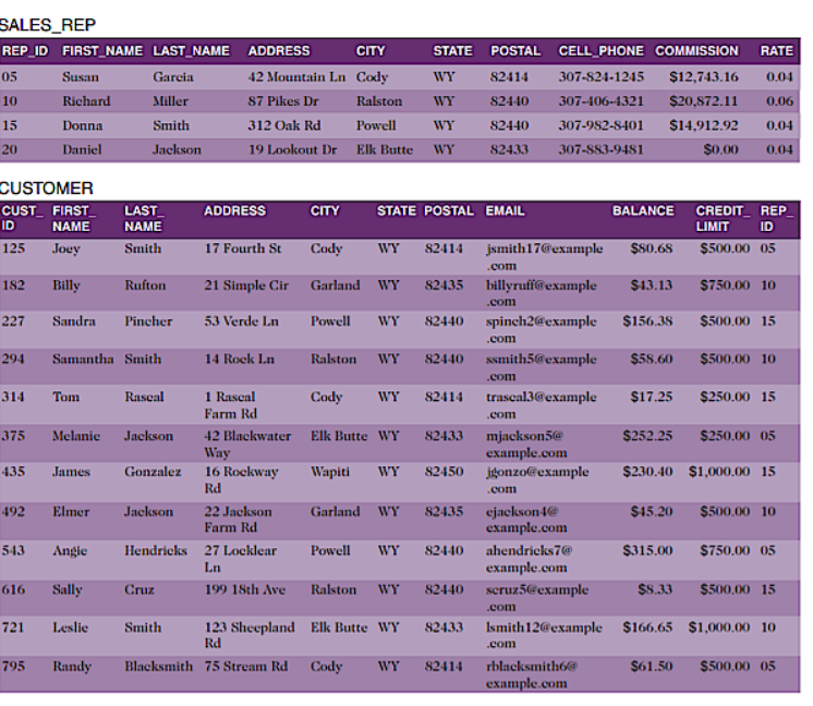 Solved RAl FS RFP INVOICES INVOICE_LINE Indicate the | Chegg.com