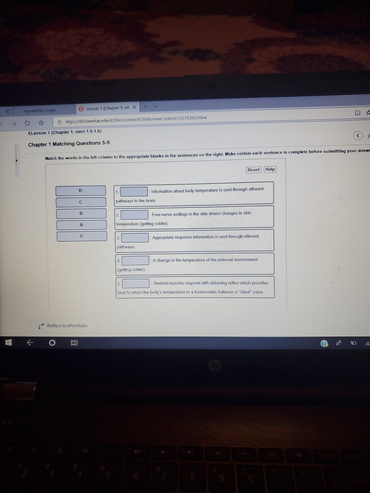 Solved Mytoestrogen Lesson 1 Chapter 1 On X V Https Chegg Com