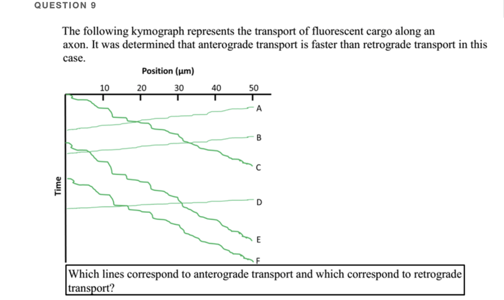 Kymogram Ransport QUESTION 9 The following kymograph represents the | Chegg.com