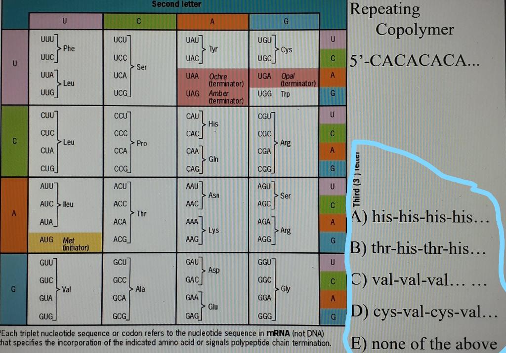 Solved Second Letter U с А G Uuu Ucu Uau Repeating Copolymer