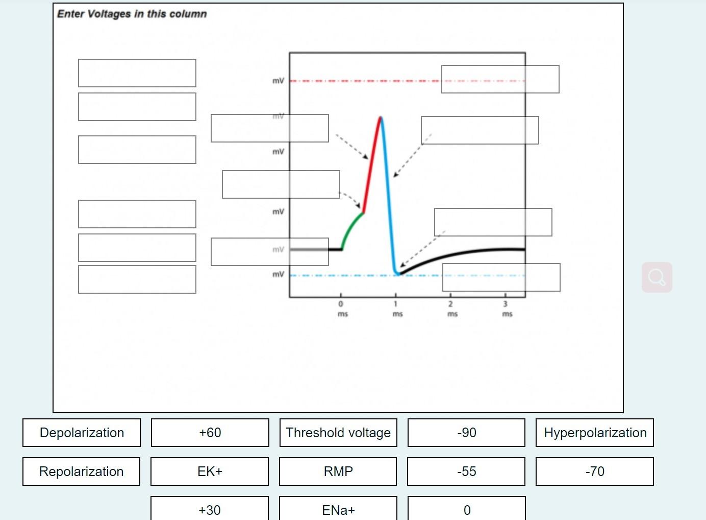 Solved Drag and drop the labels to the appropriate regions | Chegg.com