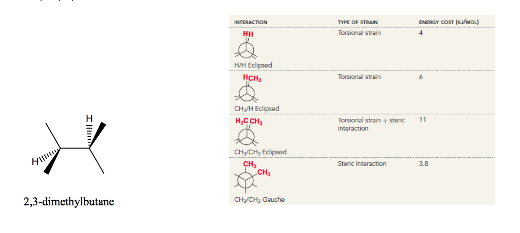 2 3 dimethyl butane newman projection