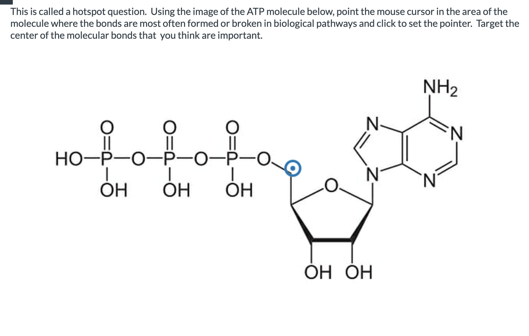 Solved This is called a hotspot question. Using the image of | Chegg.com