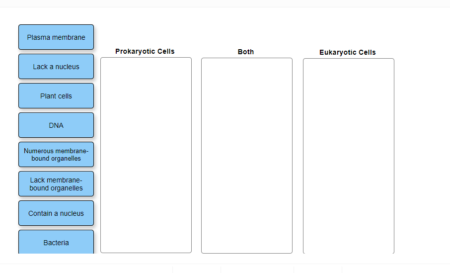 Solved Prokaryotes vs eukaryotes comparison Distinguish the | Chegg.com