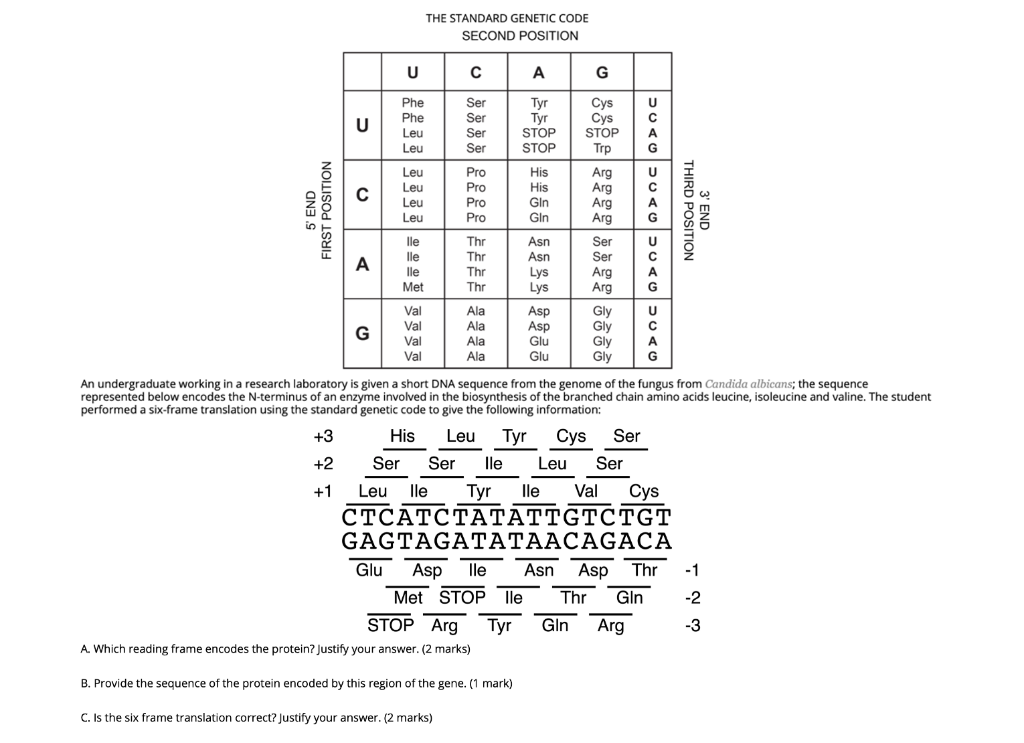 Solved THE STANDARD GENETIC CODE SECOND POSITION с A G U | U | Chegg.com