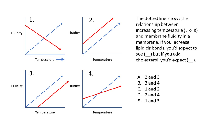 Solved The dotted line shows the relationship between | Chegg.com
