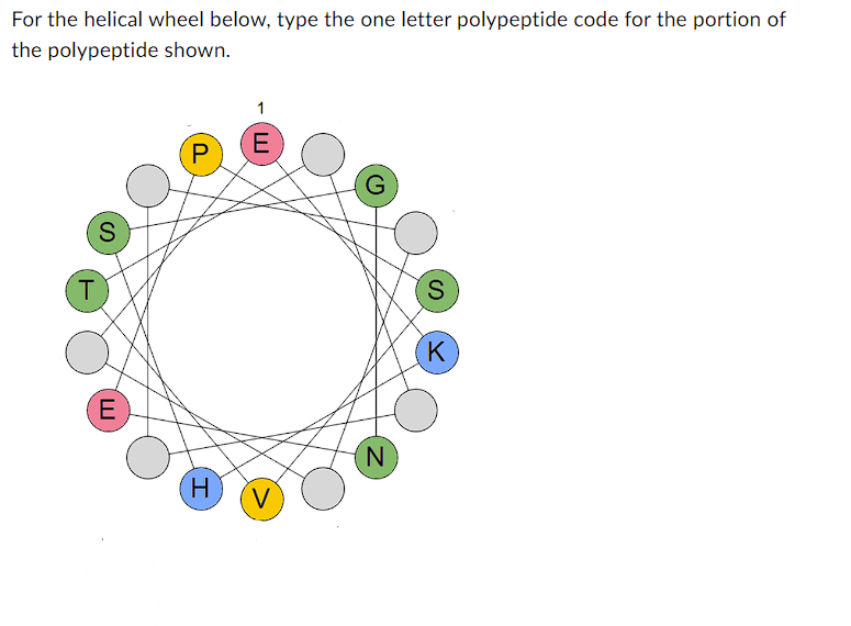 Solved For the helical wheel below, type the one letter | Chegg.com
