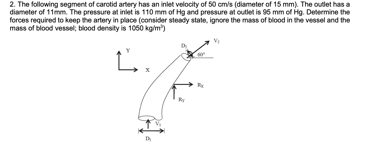 Solved 2. The following segment of carotid artery has an | Chegg.com