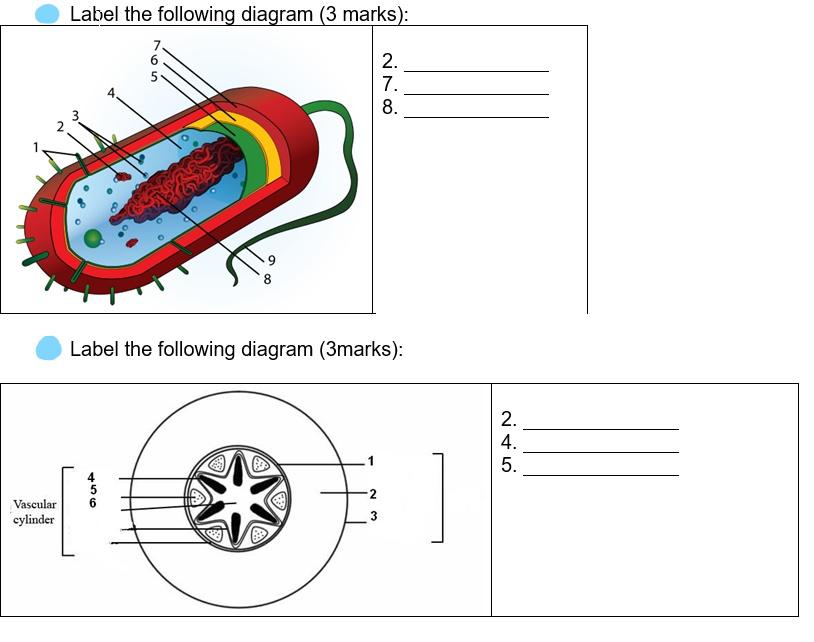 Solved Label the following diagram (3 marks): a 2. 7. 8. 3 N | Chegg.com